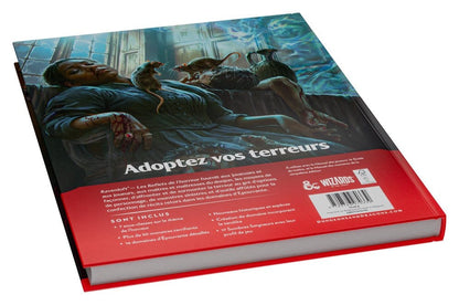 Dungeons & Dragons RPG Ravenloft: Les Reflets de l'Horreur Buch *Französische Version* Image 13