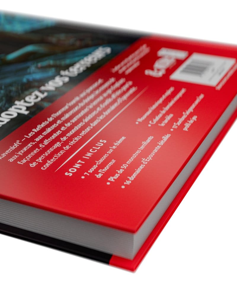 Dungeons & Dragons RPG Ravenloft: Les Reflets de l'Horreur Buch *Französische Version* Image 14