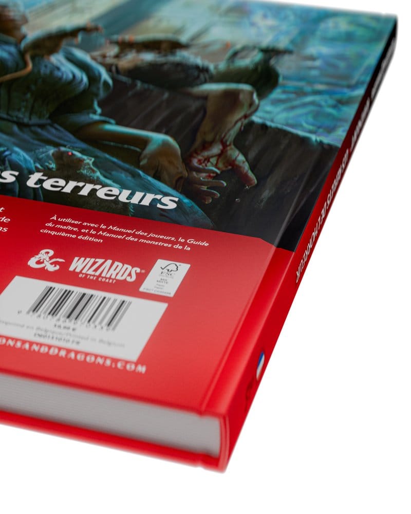Dungeons & Dragons RPG Ravenloft: Les Reflets de l'Horreur Buch *Französische Version* Image 15