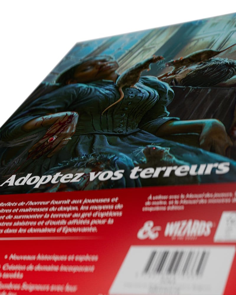 Dungeons & Dragons RPG Ravenloft: Les Reflets de l'Horreur Buch *Französische Version* Image 16