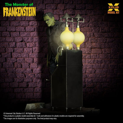 Frankenstein Plastic Model Kit 1/8 The Monster of Frankenstein 27 cm Image 7